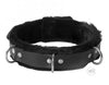 Strict Leather Fur Low Rise Locking Collar