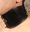 Padded Leather Locking Posture Collar