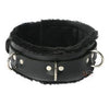 Strict Leather Premium Fur Lined Locking Collars